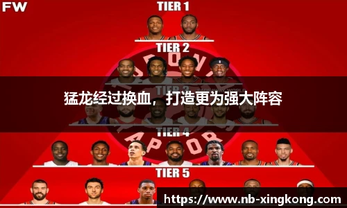 猛龙经过换血,打造更为强大阵容