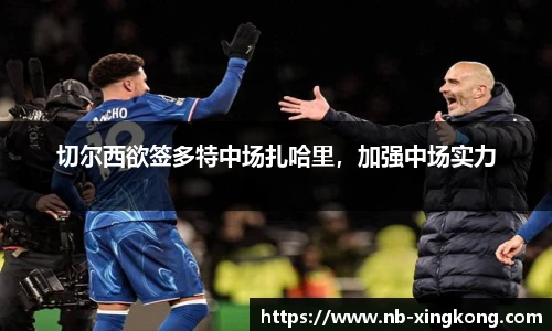 切尔西欲签多特中场扎哈里,加强中场实力